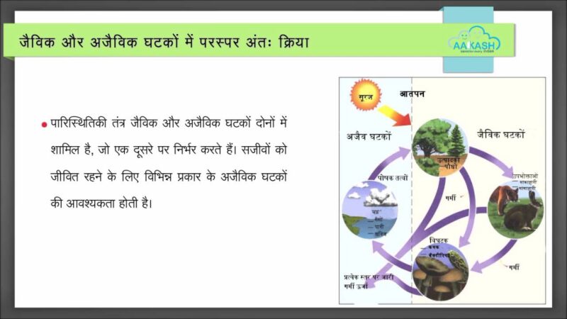 ecosystem meaning in hindi - Hình 2