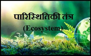 ecosystem meaning in hindi - Hình 3