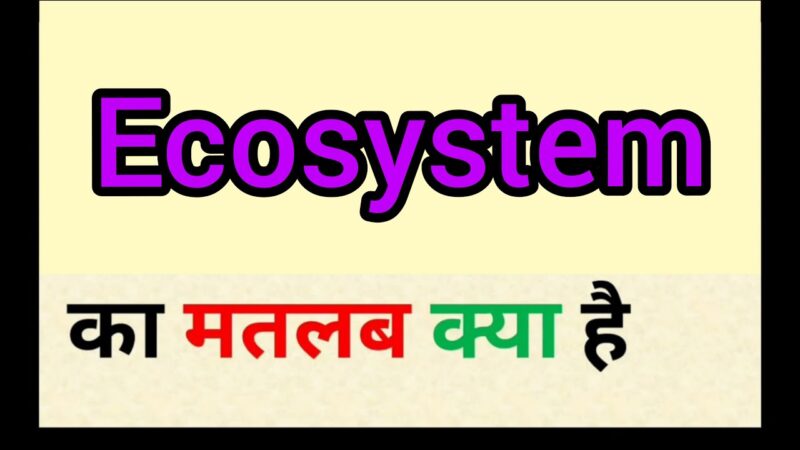 ecosystem meaning in hindi - Hình 4