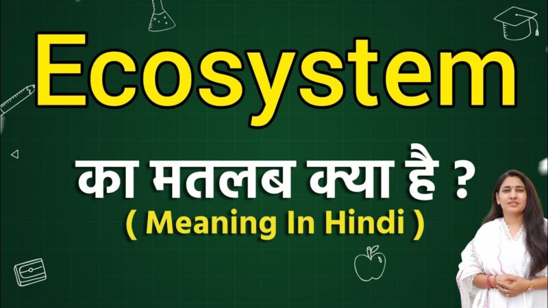 ecosystem meaning in hindi - Hình 5
