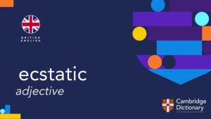 ecstatic meaning in hindi 1