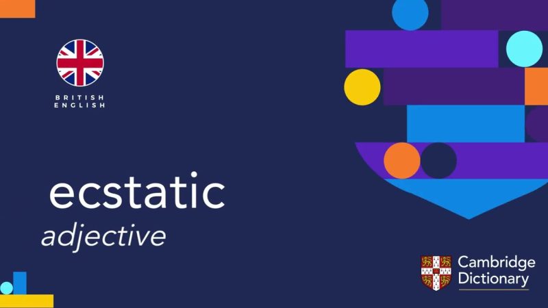ecstatic meaning in hindi 1