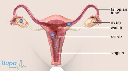 अस्थानिक गर्भावस्था क्या है? (Ectopic Pregnancy Meaning in Hindi)