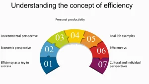 efficiency meaning in hindi 5