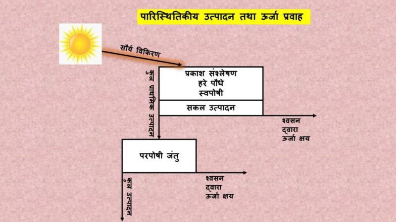 कार्यकुशलता (Efficiency) की अवधारणा और प्रकार