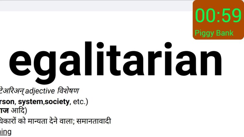 egalitarian meaning in hindi - Hình 3