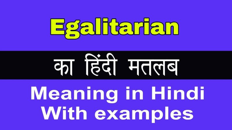 egalitarian meaning in hindi - Hình 4