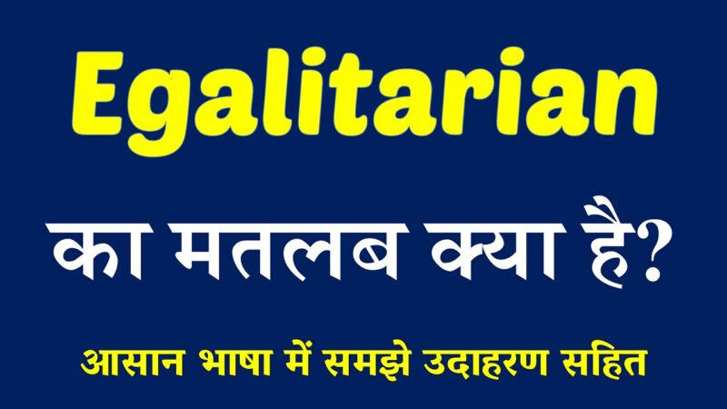egalitarian meaning in hindi - Hình 5