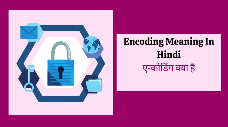 encoding meaning in hindi - Hình 2