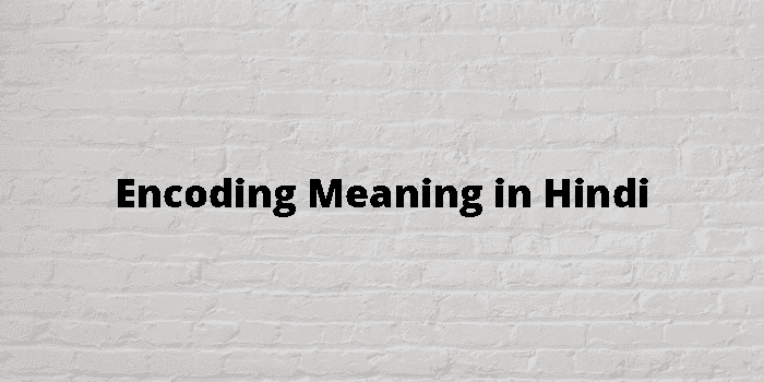 encoding meaning in hindi - Hình 5