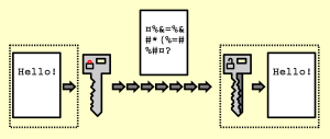encrypted meaning in hindi 1