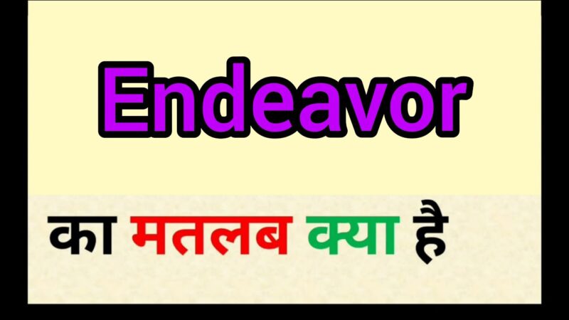 endeavor meaning in hindi - Hình 2