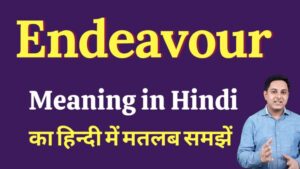 endeavor meaning in hindi