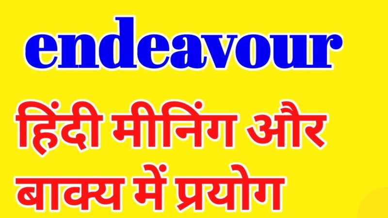 endeavor meaning in hindi - Hình 5