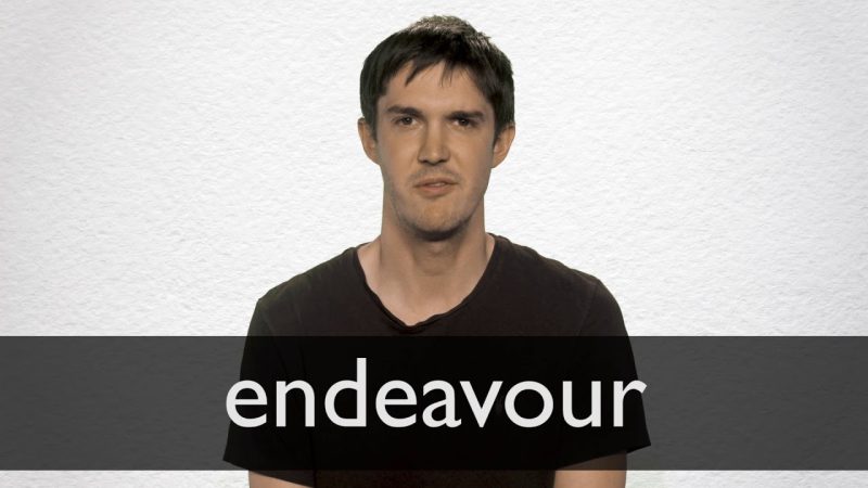 endeavour meaning in hindi 2