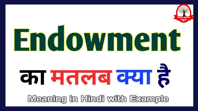 endowment meaning in hindi - Hình 2