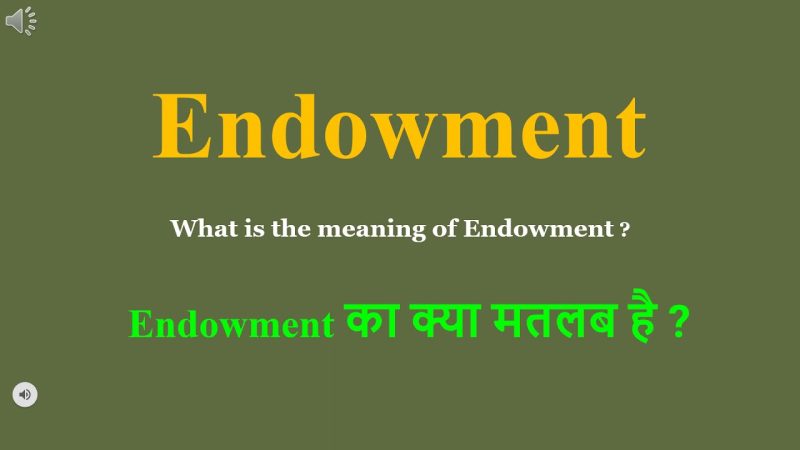 endowment meaning in hindi - Hình 3
