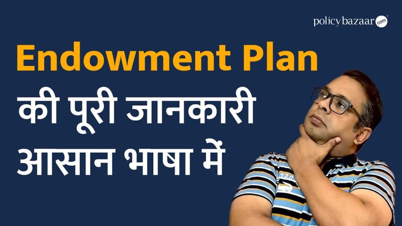 endowment meaning in hindi - Hình 4
