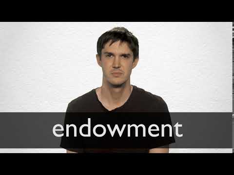 endowment meaning in hindi - Hình 5