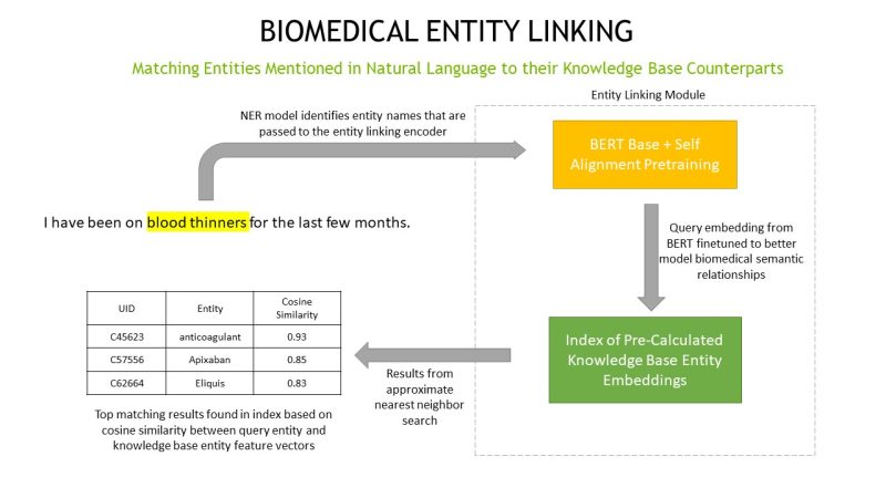 एंटिटी लिंकिंग (Entity Linking) क्या है और यह हिंदी में कैसे काम करता है?