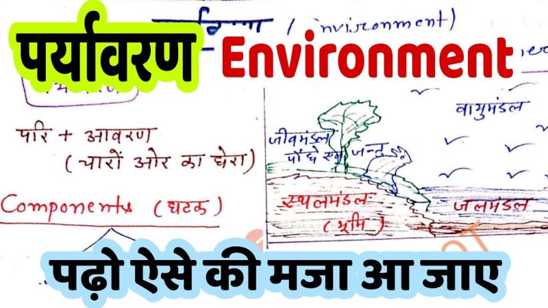 पर्यावरण के मुख्य घटक: हिंदी में विस्तृत व्याख्या (Paryavaran Ke Mukhya Ghatak: Hindi Mein Vistrit Vyakhya)