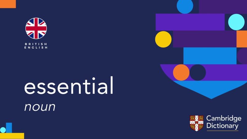 essential meaning in hindi 3