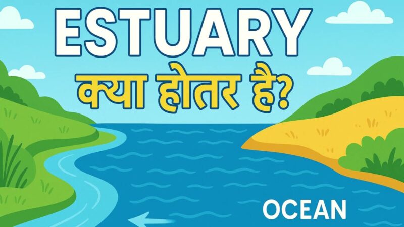 estuary meaning in hindi - Hình 2
