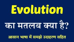 exact meaning in hindi 1