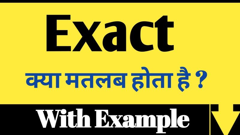 exact meaning in hindi 4