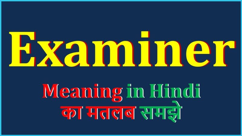 examiner meaning in hindi - Hình 3