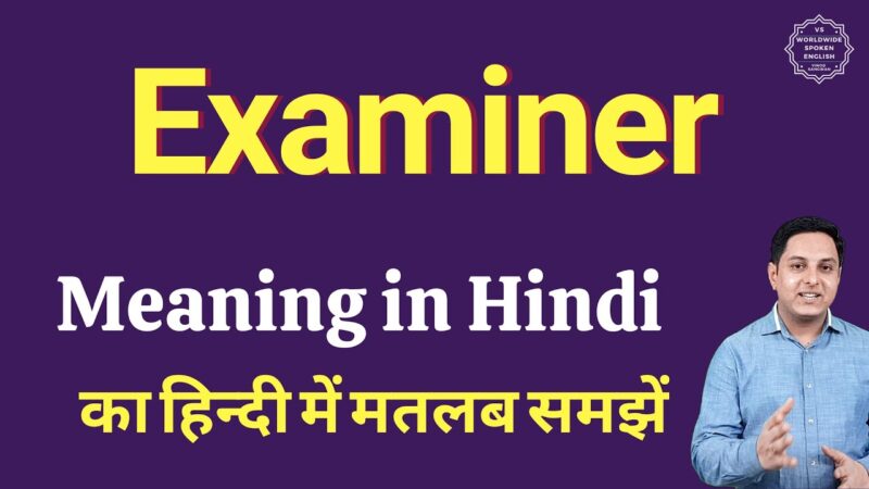 examiner meaning in hindi - Hình 1