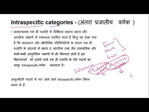 विभिन्न प्रकार के बहाने: परिस्थितियों के अनुसार वर्गीकरण