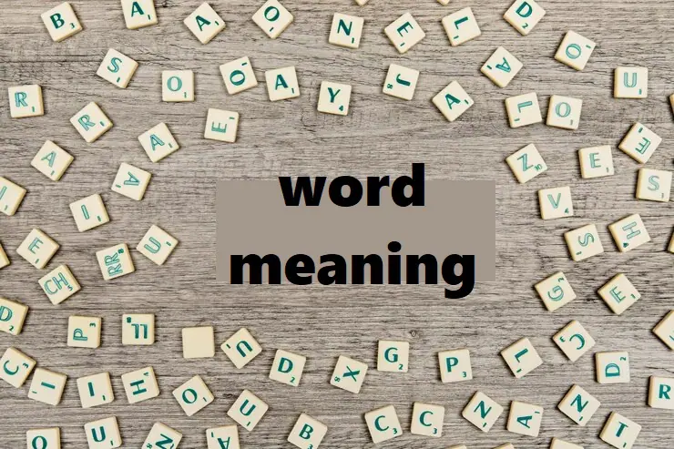 execution meaning in hindi 3.jpg