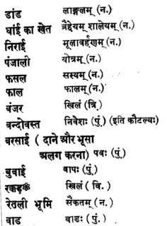 expedite meaning in hindi 2