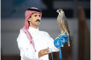 falcon meaning in hindi 2