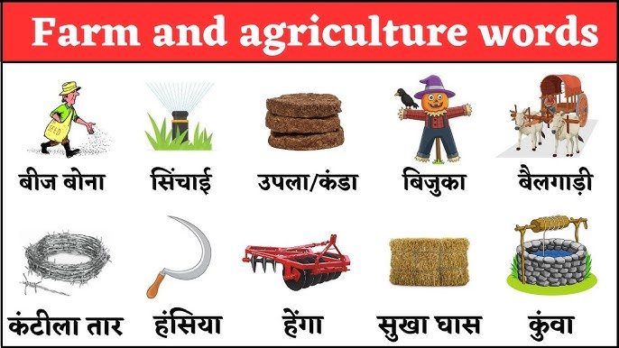 farm meaning in hindi - Hình 4
