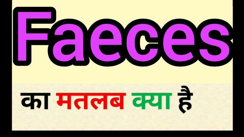 feces meaning in hindi - Hình 3