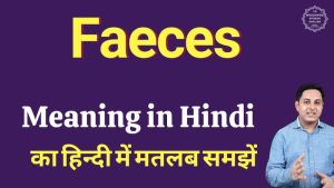 feces meaning in hindi