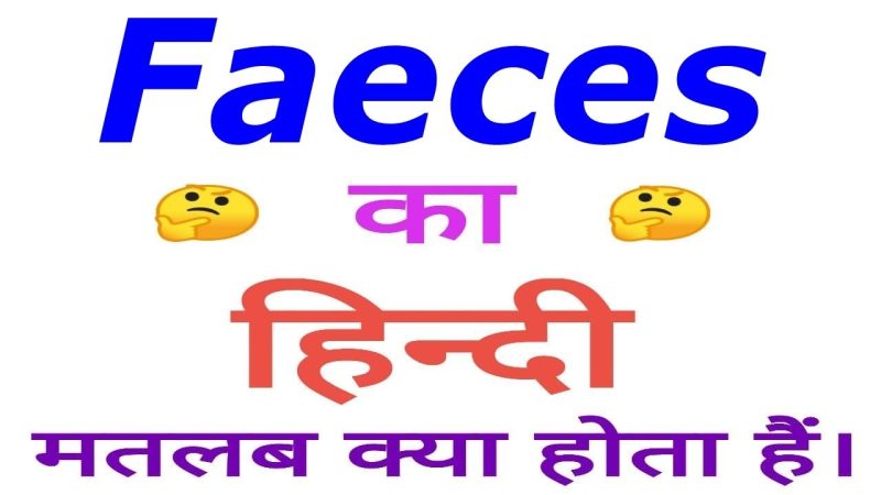 feces meaning in hindi - Hình 5