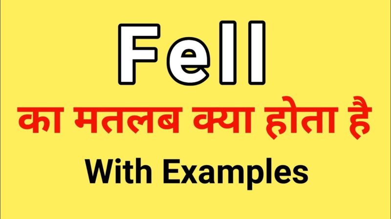 fell meaning in hindi - Hình 2