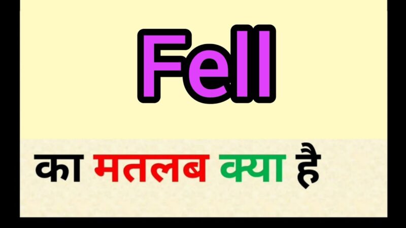 fell meaning in hindi - Hình 4