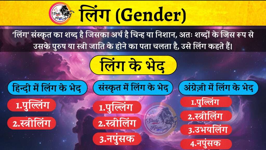 स्त्रीलिंग शब्दों के सामान्य उदाहरण और उनका वाक्य में प्रयोग