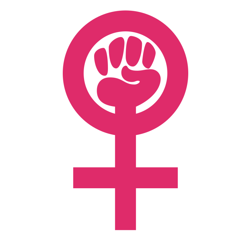 नारीवाद के विभिन्न दृष्टिकोण: एक तुलनात्मक विश्लेषण