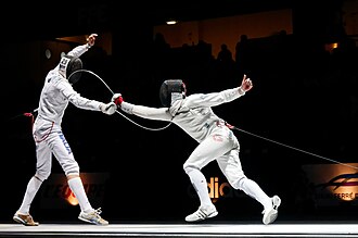 fencing meaning in hindi - Hình 3