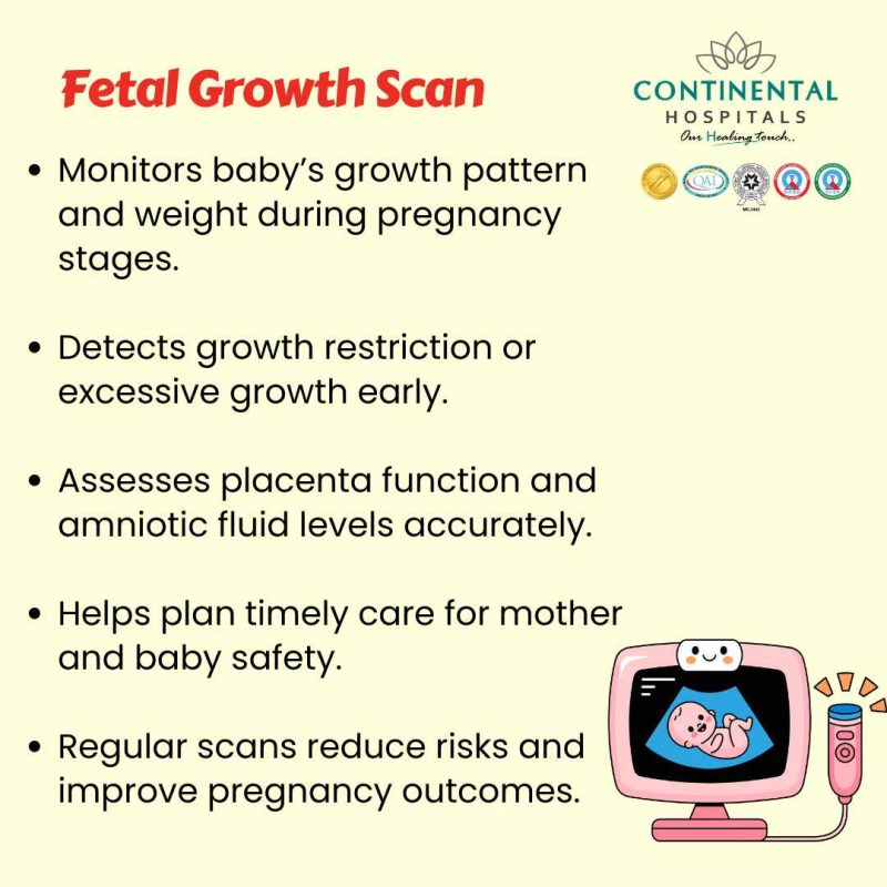डिंब (Embryo) और भ्रूण (Fetus) के बीच अंतर