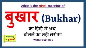 fever meaning in hindi 1