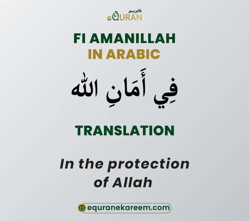 fi amanillah meaning in hindi 2