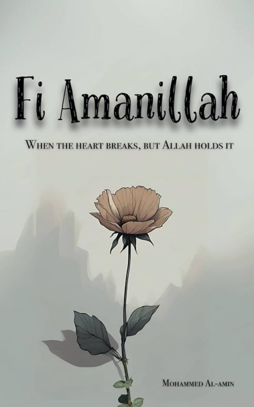 fi amanillah meaning in hindi 5