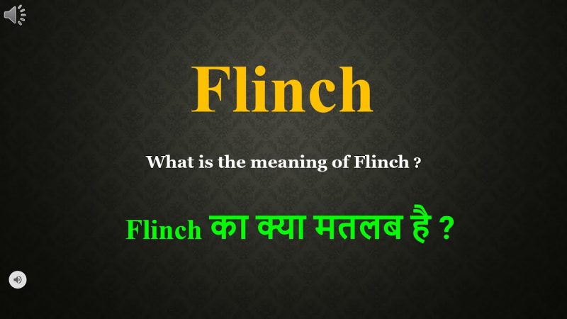 Flinch के उपयोग से जुड़े वाक्य उदाहरण (अंग्रेजी और हिंदी अनुवाद)