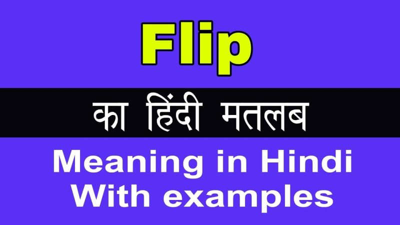 flip meaning in hindi - Hình 5